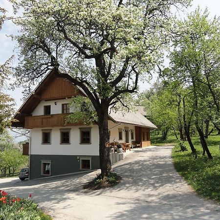 Farm Stay Dolinar Krainer Bohinjska Bela Exteriér fotografie