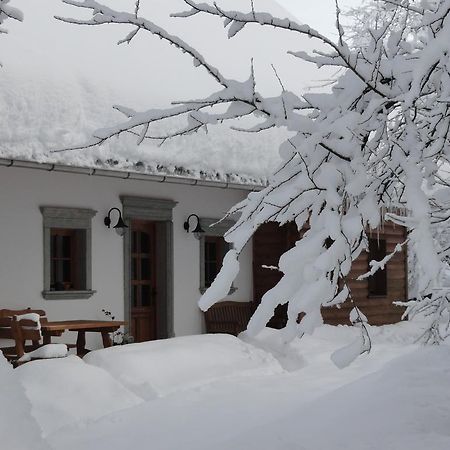 Farm Stay Dolinar Krainer Bohinjska Bela Exteriér fotografie