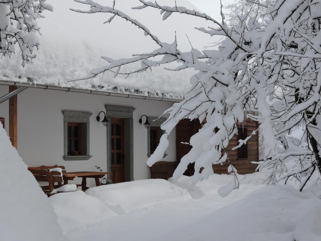 Farm Stay Dolinar Krainer Bohinjska Bela Exteriér fotografie